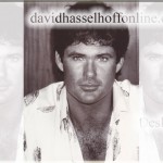 DesktopWallpaper1024x768Hoff31 Portrait Of David