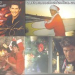 DesktopWallpaper1024x768Hoff33 Merry Christmas!
