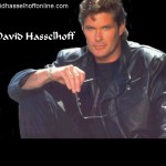 DesktopWallpaper800x600Hoff14 Cool Dude
