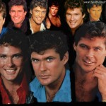DesktopWallpaper800x600Hoff27 The Many Faces Of David