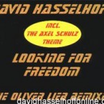 LookingForFreedomOliverLiebRemixes