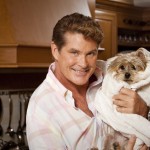 AETN_Hasselhoff