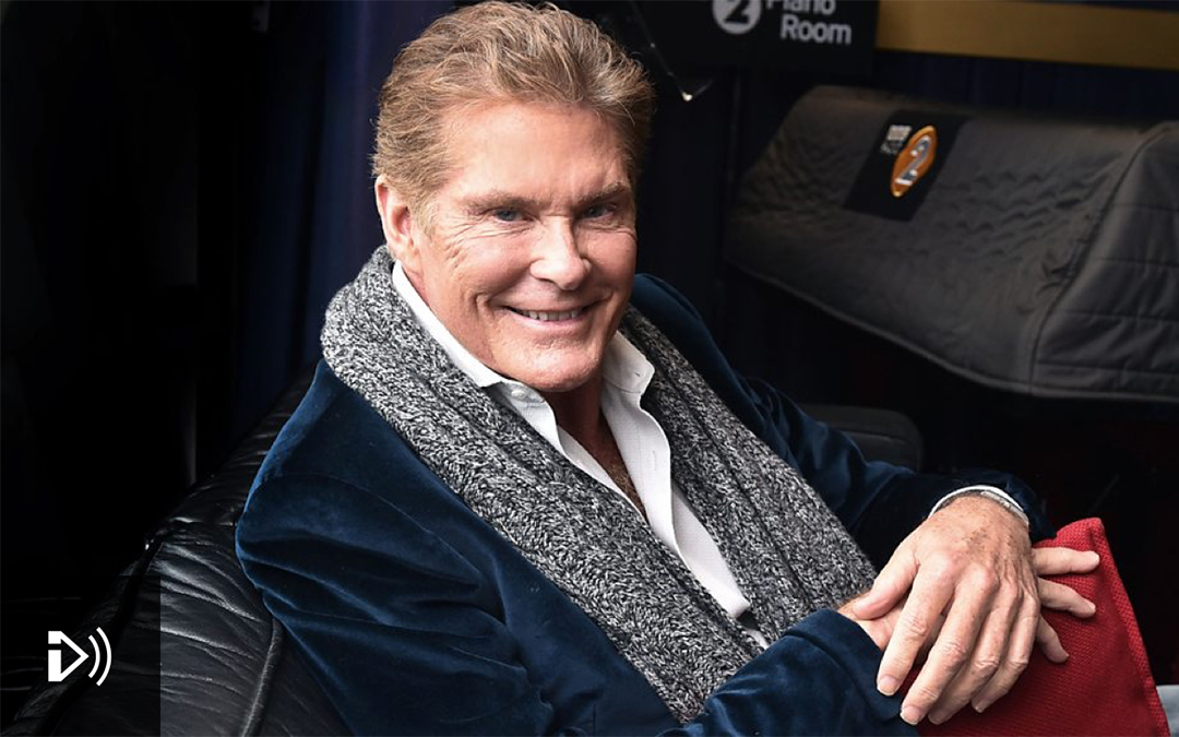 Image result for david hasselhoff