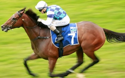 New Zealand’s Rising Racing Star Hasselhoof