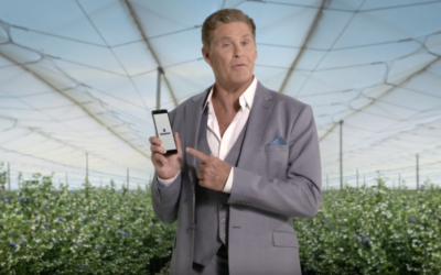 Fedgroup Appoints David As The Spokesperson For Their Latest Campaign